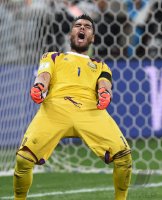 FUSSBALL WM 2014, HALBFINALE: Niederlande - Argentinien