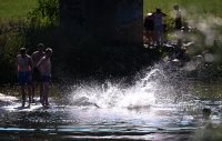Schmuckbild Hitze, Baden im Neckar, Horb - Muehlen (Kreis Freudenstadt)