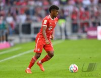 Fussball 1. Bundesliga 22/23: FC Bayern Muenchen - 1. FSV Mainz 05