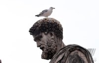 Rom Generalaudienz;  Papst Franziskus I.