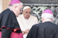 Rom Generalaudienz; Papst Franziskus I.