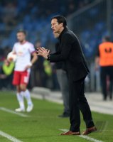 Fussball Europa League Saison 2013/2014: Roger Schmidt (Red Bull Salzburg)