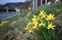 Stadtansicht Horb, Treppen, Perspektive
