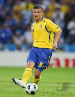 FUSSBALL EURO 2008: Schweden, Svensson