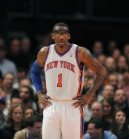 Basketball NBA 10/11: Amar e  Stoudemire (Knicks)