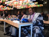 FUSSBALL 62. FIFA  Kongress in Budapest 2012