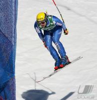 Ski Alpin  Herren Abfahrt Wengen