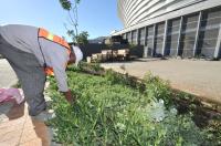FUSSBALL WM 2010  Vorbereitung auf das erste Spiel in Kapstadt
