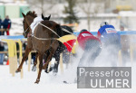 REITSPORT White Turf St. Moritz Skikjring; Feature