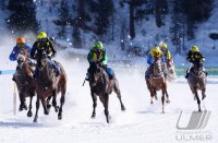 Pferdesport: White Turf  St. Moritz 2022