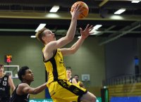 Basketball 2. Bundesliga 2020/2021: Tigers Tuebingen -  Nuernberg Falcons BC