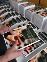 Abschluss Dialogprozess in der Dioezese Rottenburg-Stuttgart: Bischof Fuerst