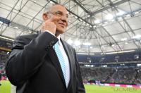 Fussball 1. Bundesliga: T Home Cup , Schalke 04 - VfB Stuttgart