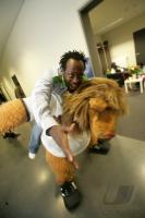 FINALE Italien - Frankreich