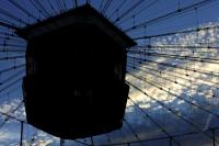 Fussball WM 2006 NED-ARG