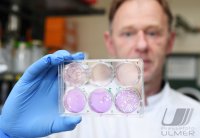 COVID-19-Medikament, Studie Phase II: Prof. Dr. Oliver Planz (UKT Tuebingen)