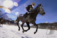 Pferdesport:  White Turf  St. Moritz 2011   Flachrennen