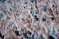 Fussball 1. Bundesliga: VfL Wolfsburg - Hamburger SV