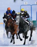 White Turf  St. Moritz 2010