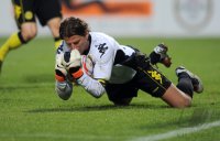1. Fussball Bundesliga: Torwart Roman Weidenfeller (Borussia Dortmund)
