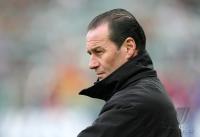 Fussball 1. Bundesliga: HSV, STEVENS