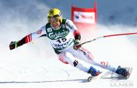 Ski Alpin  Herren Abfahrt Wengen