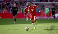 Fussball  1. Bundesliga   Saison 2025/2026     34. Spieltag  FC Bayern Muenchen - 1. FC Koeln