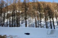 CRESTA RUN St. Moritz 2010