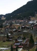 Ski Alpin  Herren Abfahrt Wengen