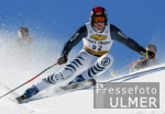 SKI   Weltcup  Riesensalalom  Park City  Herren Andreas Ertl (GER)