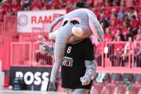 Handball Bundesliga Frauen am 13.09.2025 in Tuebingen (Paul Horn-Arena)