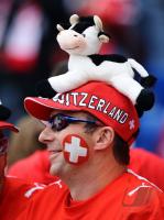 FUSSBALL EURO 2008: Schweiz - Tschechien