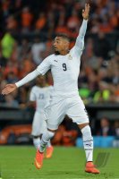 Fussball International: Kevin Prince Boateng (Ghana)