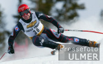 SKI   Weltcup  Abfahrt Herren ; Klaus Krll (AUT)