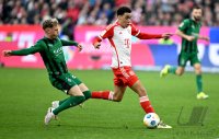 Fussball 1. Bundesliga 23/24: FC Bayern Muenchen - Borussia Moenchengladbach