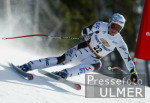 SKI   Weltcup Abfahrt Mnner Andreas Schifferer (AUT)