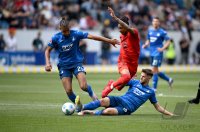 Fussball 1. Bundesliga 24/25: TSG 1899 Hoffenheim - FC Bayern Muenchen