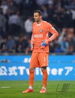 FUSSBALL SERIE A 2017/2018: Torwart Samir Handanovic (Inter Mailand)