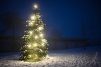 Schmuckbild, Wetterbild: Weihnachtsbaum Umspannwerk Rottenburg