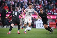 Fussball 1. Bundesliga 24/25: FC Bayern Muenchen - Borussia Moenchengladbach