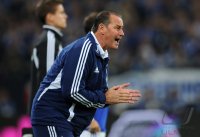 Fussball 1. Bundesliga Saison 2012/2013: FC Schalke 04 - VfL Wolfsburg