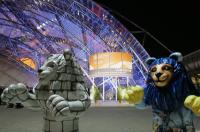 Fussball  International WM Auslosung