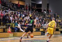 Basketball 2. Bundesliga 21/22 Testspiel: Tigers Tuebingen - Team Ehingen Urspring