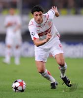 Ciprian Marica   ( VfB Stuttgart )