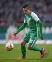 Fussball 1. Bundesliga Saison 15/16: SV Werder Bremen - TSG Hoffenheim