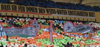 Fussball  1. Bundesliga  14/15: Fanchoreographie VfB Stuttgart