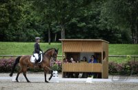 Reiten Turnier Tuebinger Reitgesellschaft