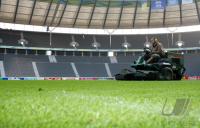 Fussball WM 2006: Finale, 24 Std. Reportage