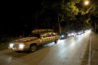 FUSSBALL EURO 2008: Niederlande - Italien