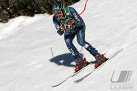 Ski Alpin  Herren Abfahrt Wengen